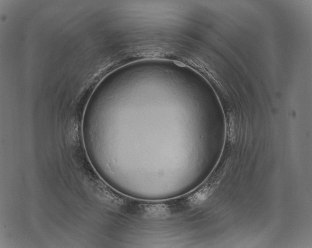 X0000073760355200608171402