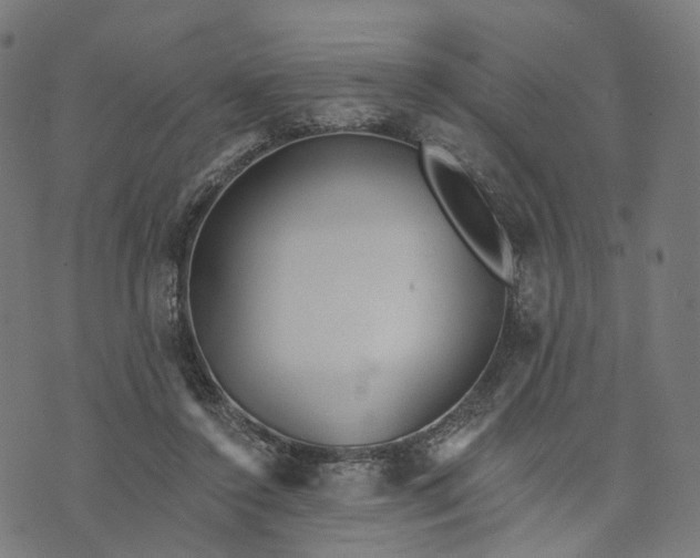 X0000073760356200608171402