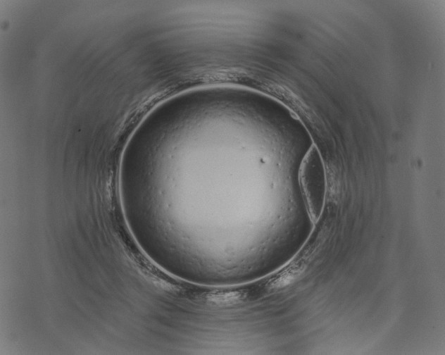 X0000073760357200608171402