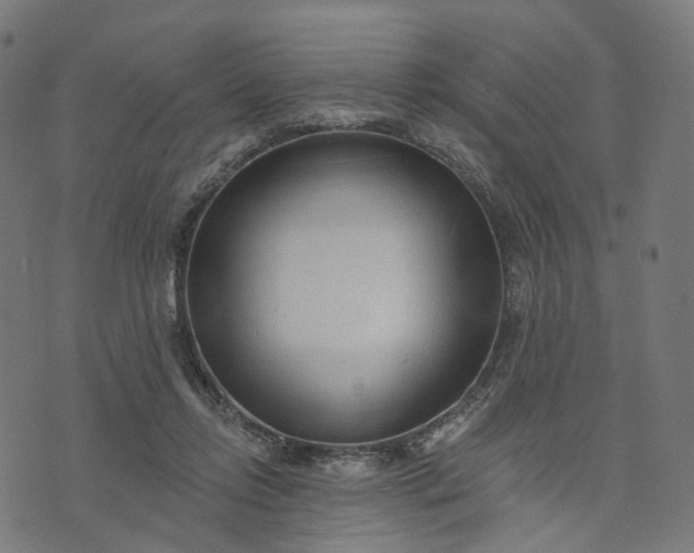 X0000073760358200608171402