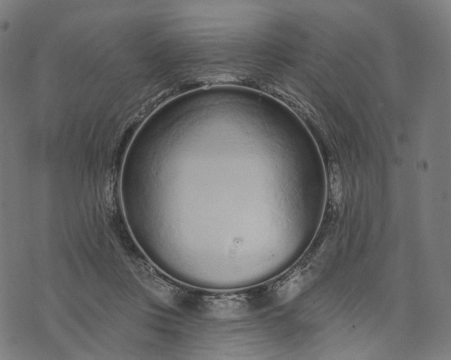 X0000073760359200608171402