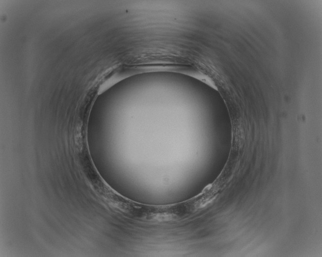 X0000073760360200608171402