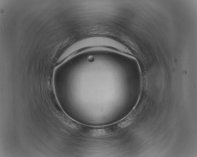 X0000073760361200608171402