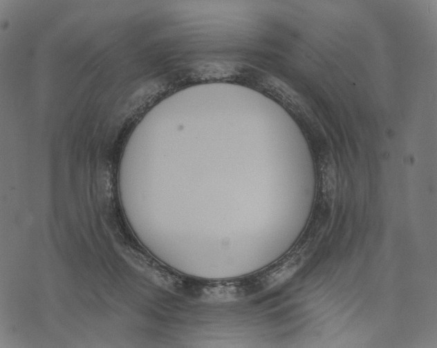 X0000073760362200608171402