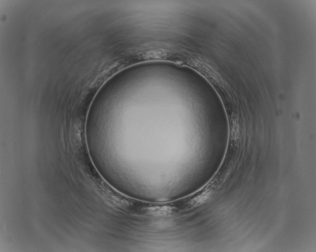 X0000073760363200608171402