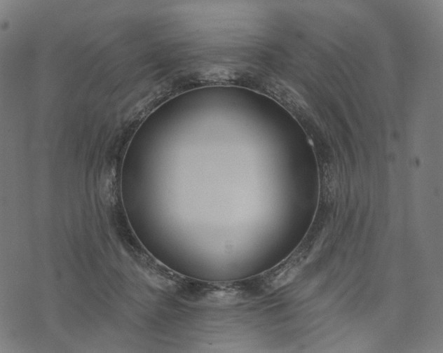 X0000073760364200608171402