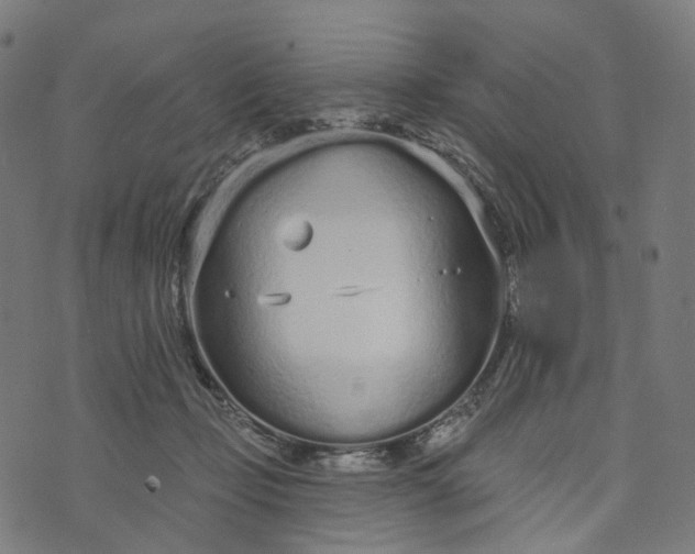 X0000073760365200608171402