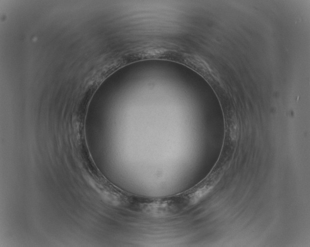 X0000073760366200608171402