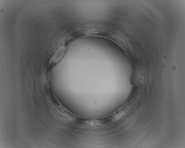 X0000073760367200608171402