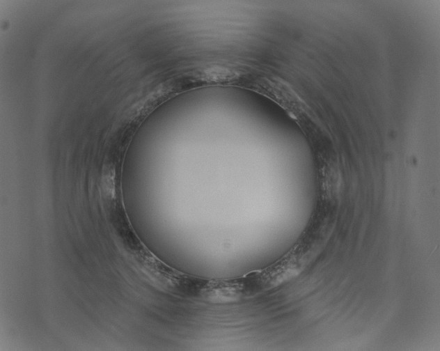 X0000073760368200608171402