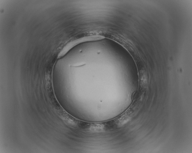 X0000073760369200608171402