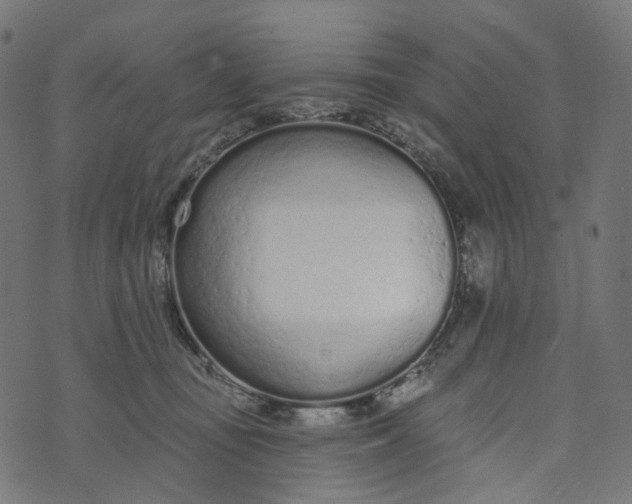 X0000073760371200608171402