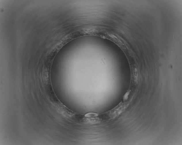 X0000073760372200608171402