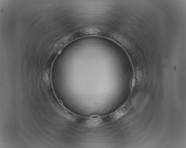 X0000073760373200608171402