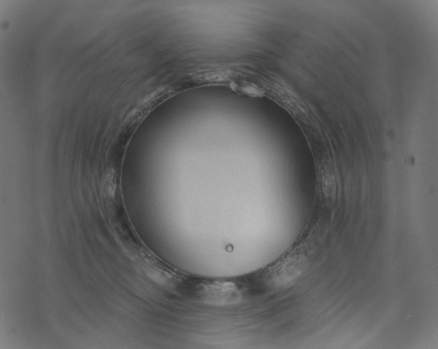 X0000073760374200608171402