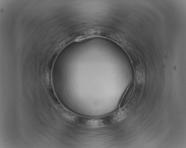 X0000073760375200608171402