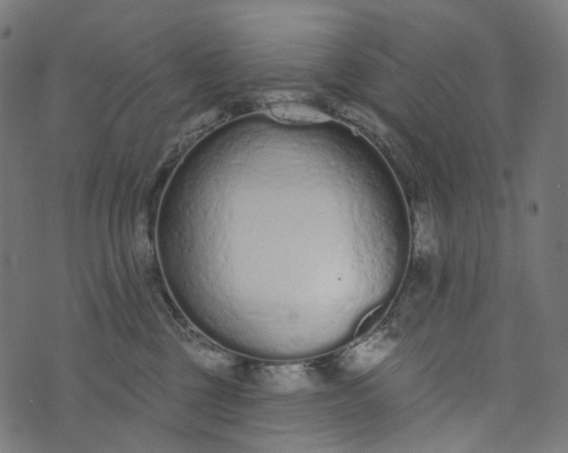 X0000073760377200608171402