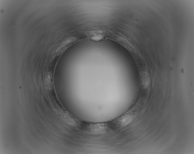 X0000073760378200608171402