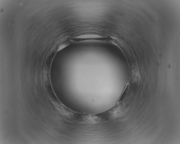 X0000073760379200608171402