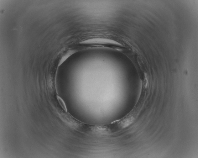 X0000073760380200608171402