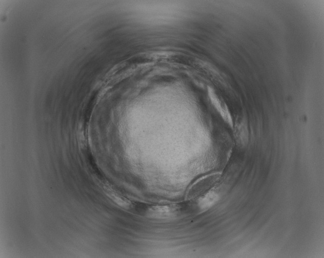 X0000073760381200608171402