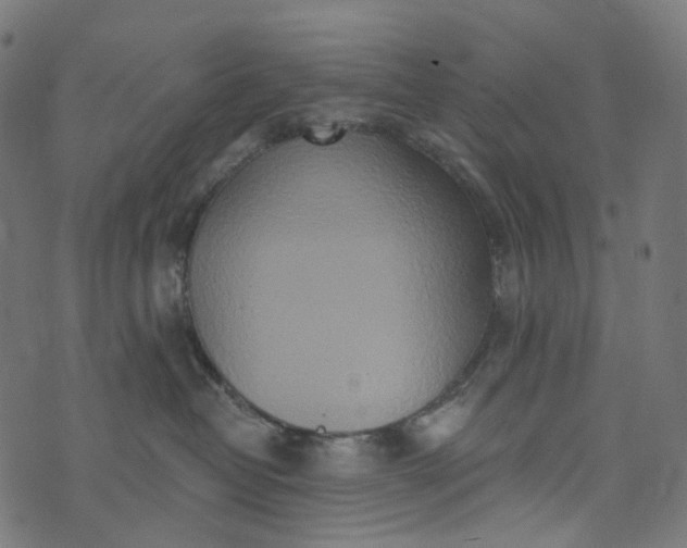 X0000073760382200608171402