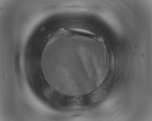 X0000073760383200608171402