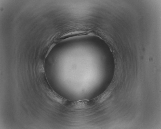 X0000073760384200608171402