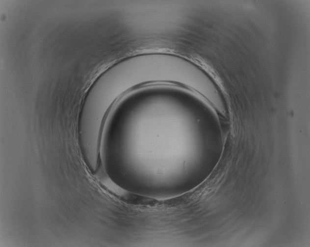 X0000073760385200608171402