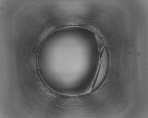 X0000073760386200608171402