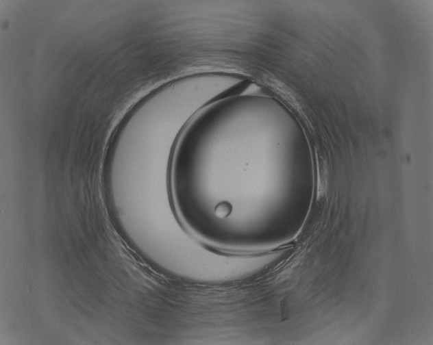 X0000073760387200608171402