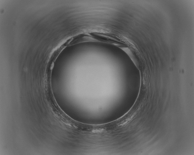 X0000073760388200608171402