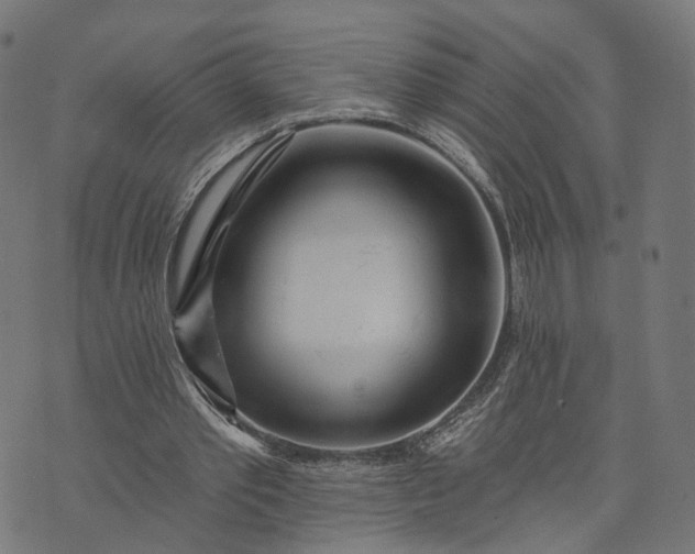 X0000073760389200608171402