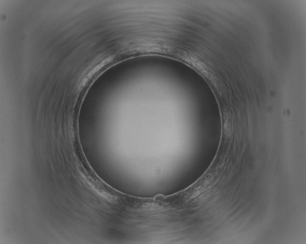 X0000073760390200608171402