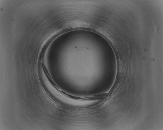 X0000073760391200608171402