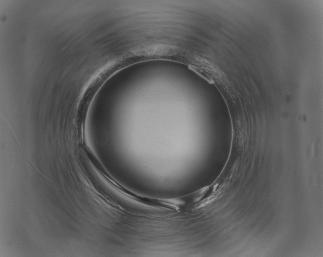 X0000073760392200608171402