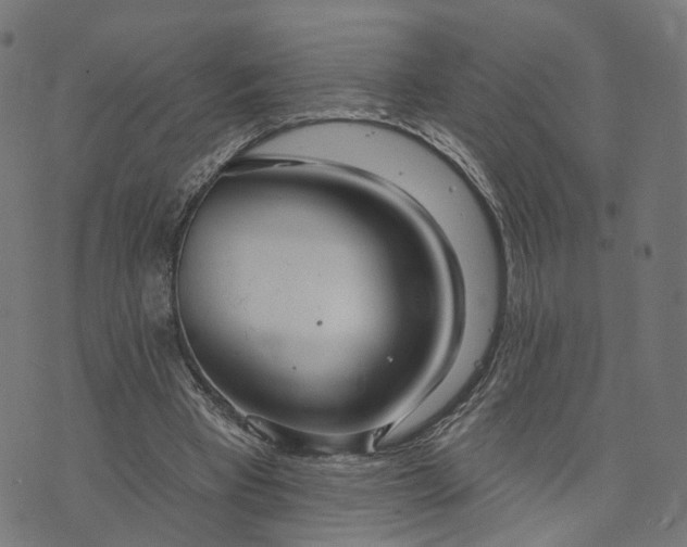 X0000073760393200608171402