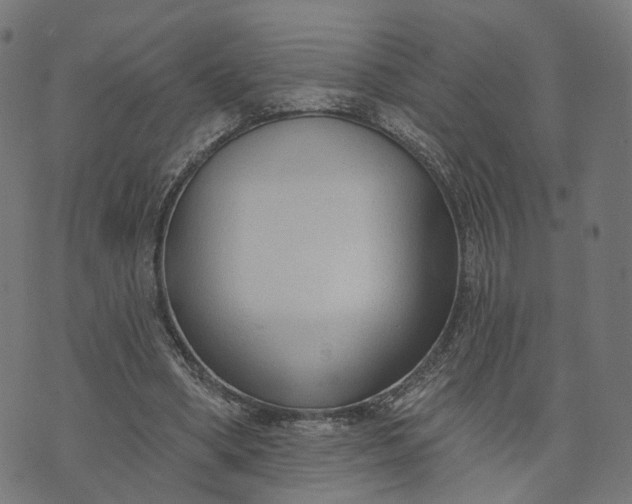 X0000073760394200608171402