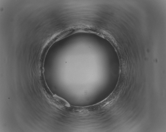 X0000073760395200608171402