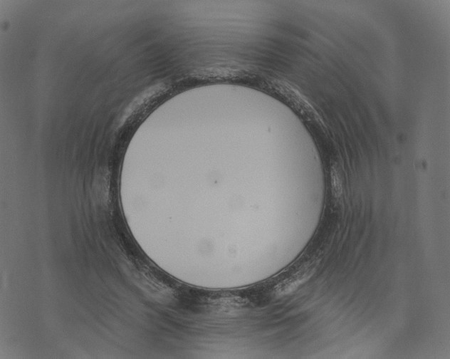 X0000073760396200608171402