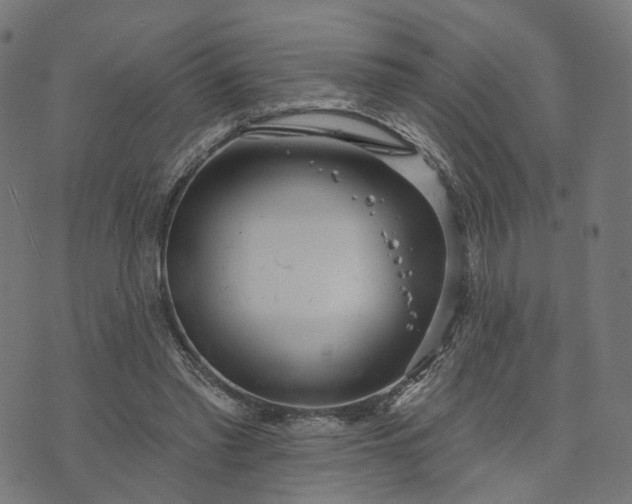 X0000073760397200608171401