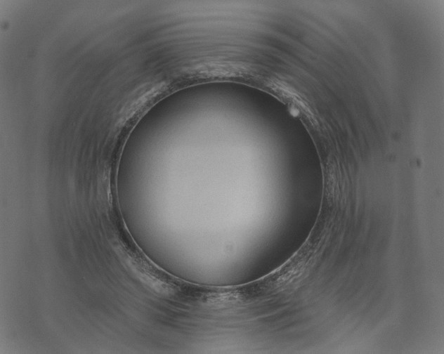 X0000073760398200608171401