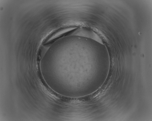 X0000073760399200608171401