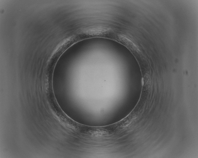 X0000073760400200608171401