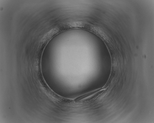 X0000073760402200608171401