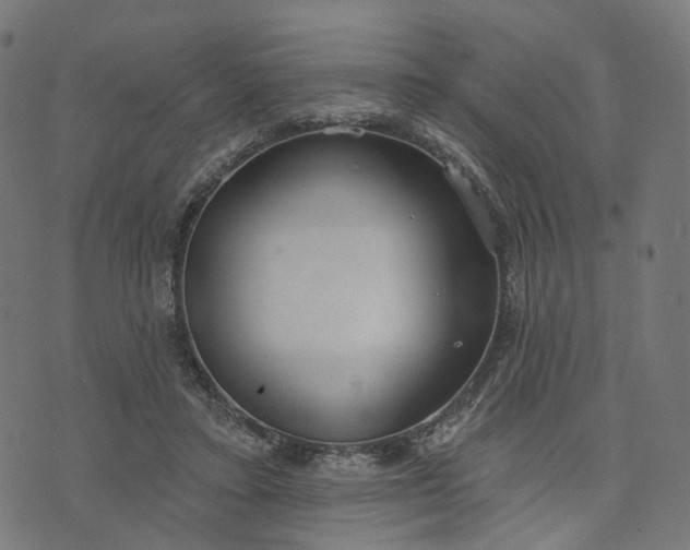 X0000073760403200608171401