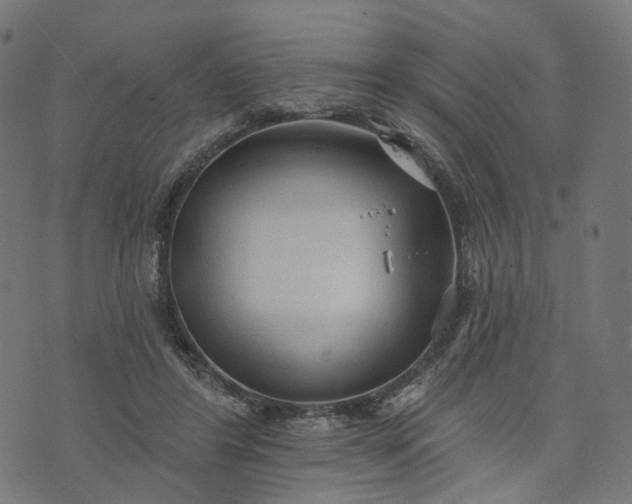 X0000073760404200608171401