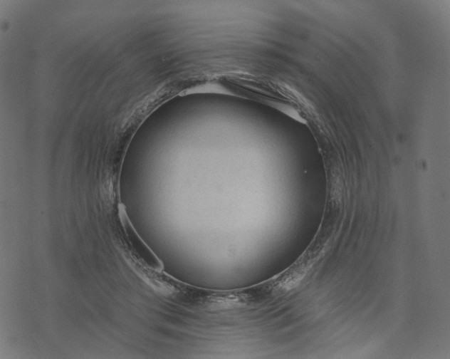 X0000073760405200608171401