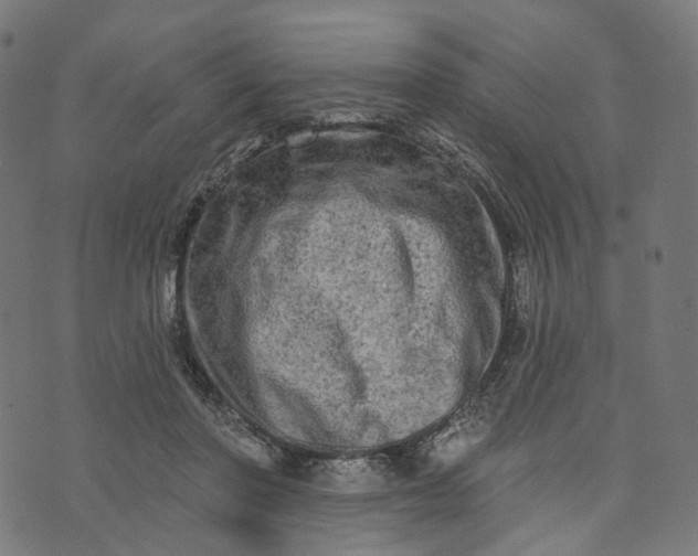 X0000073760406200608171401