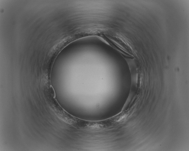 X0000073760407200608171401